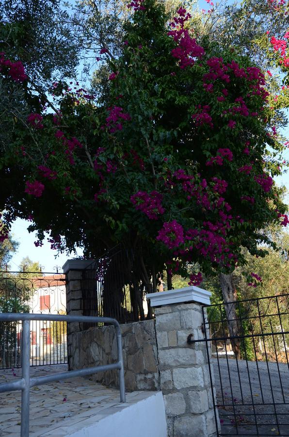 Natsios Studios Gaios Exterior foto